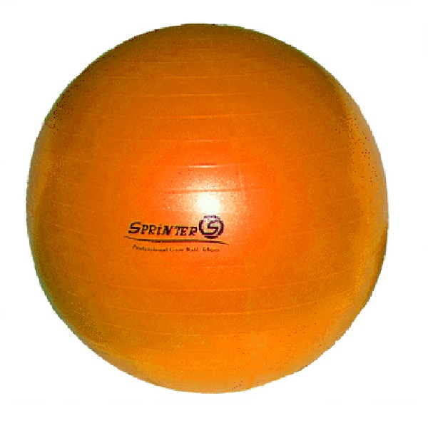 Мяч для фитнеса Anti-burst GYM BALL матовый. Диаметр 65 см.